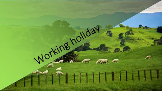 新西兰working holiday