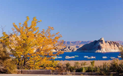 2023CWUR世界大学排名