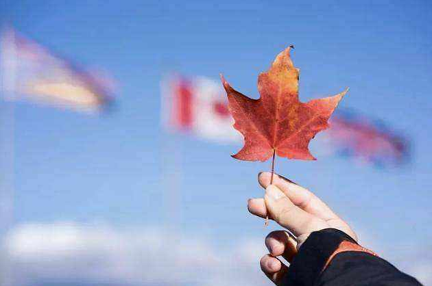加拿大本科留学费用「一年人民币」