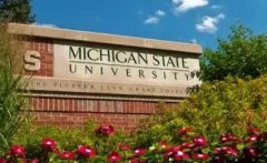 2022密歇根州立大学硕士gre要求（成绩）
