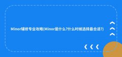 Minor辅修专业攻略(Minor是什么?什么时候选择最合适?)